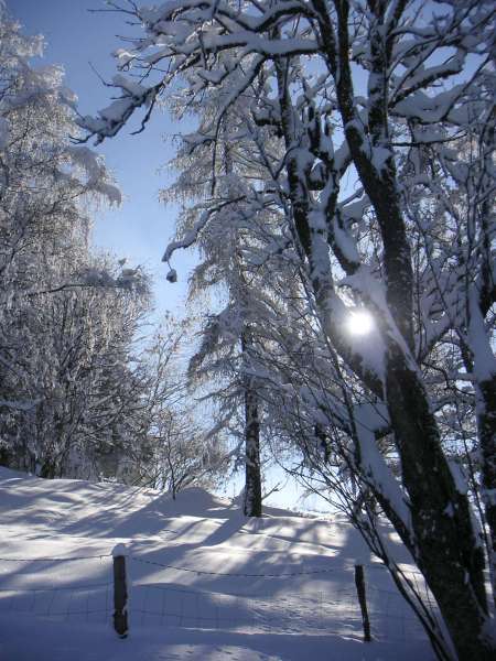 Winterbild Loipoldhof02