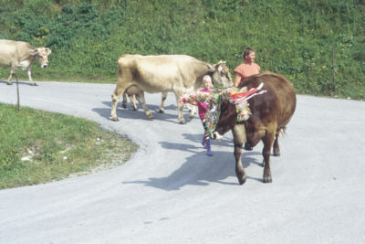 almabtrieb202